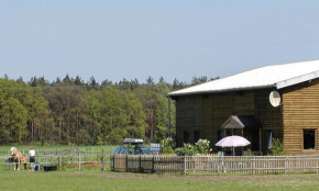 Haflingerhof Heed, Kuhstorf